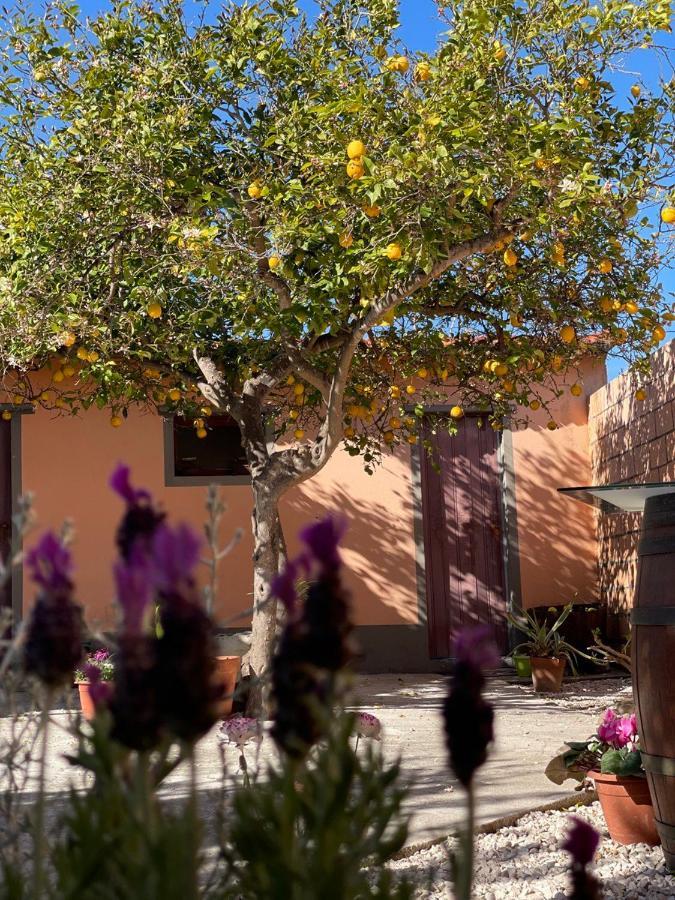 Su Fassoi Cabras Bed and Breakfast Exteriör bild